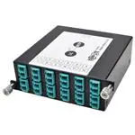 N484-1M24-LC12