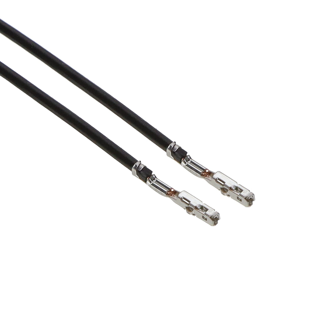 ASAITSAIT18K203
