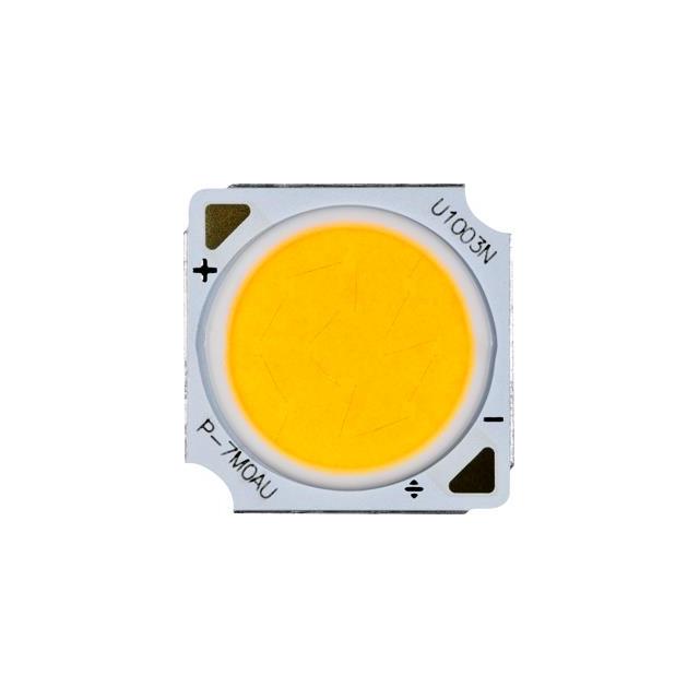 CMU1003-R160-00PN0U0A31Q