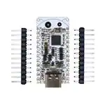 ESP32-C6-BUG