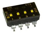 219-4LPSTJR