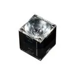 LA20684_ROSE-UV-G3-SS2